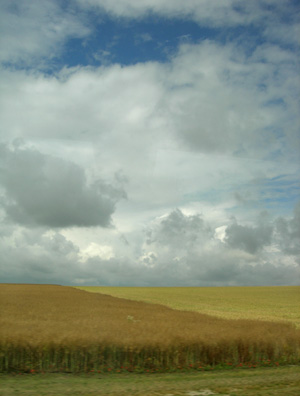 Landschaft in der Champagne (Juni 2014)